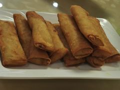 春卷-东康桂家农庄