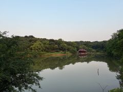 -宜兴龙背山森林公园