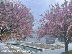 -大雁塔文化休闲景区-北广场