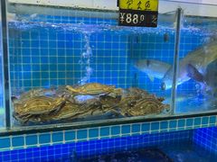 -江南村海鲜馆(洞头店)