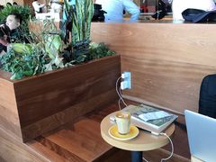 -Seesaw Coffee(朝阳大悦城店)