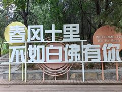 -白佛山景区