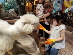 -宝燕乐园(闵行旗舰店)