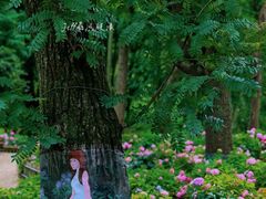 -上海共青森林公园