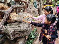 -长鹿旅游休博园
