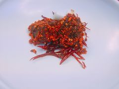 -诺莱仕游艇会