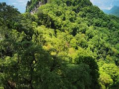 -少华山国家森林公园