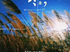 -马家湾湿地公园