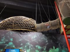 -珠海横琴国家地理探险家中心(创新方)