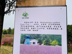 -日照海滨国家森林公园