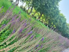 -汉长安城未央宫国家考古遗址公园