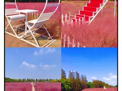 -嘉北郊野公园