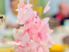 -Biteology Artisan Cakes(红庄·国际文化保税创新园店)