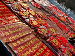 -蒲河大集