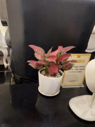 -深圳阳光医疗美容医院·旗舰店