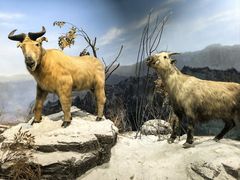 -陕西自然博物馆