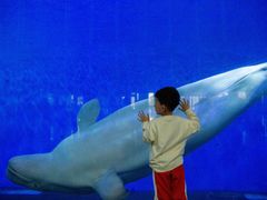 -泉城欧乐堡海洋极地世界