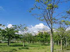 -风云岭森林公园