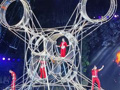 -广州长隆国际大马戏