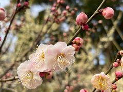 -江南大学(蠡湖校区)