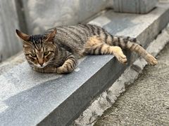 -宝通禅寺