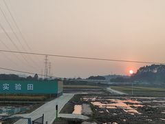 -长洲岛