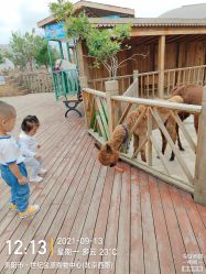 -三分地生态园·儿童乐园