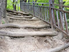 -王顺山国家森林公园
