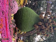 -杭州植物园