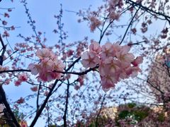 -锦江乐园(地铁站)