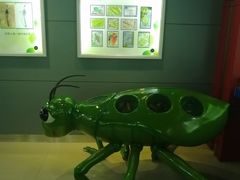 -上海昆虫博物馆