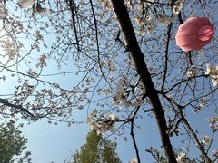 -自然谷恐龙园