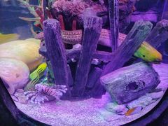 -沈阳海洋探索中心