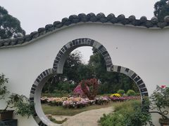 -都江堰玫瑰花溪谷