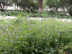 -东北大学(南湖校区)