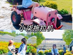 -栖露营camping·天幕烧烤·团建拓展·采摘营地