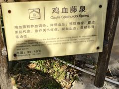 -汤山一号温泉度假区