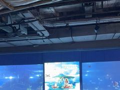 -重庆欢乐海底世界