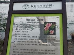 -长春市南湖公园