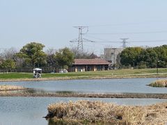 -良渚古城遗址公园