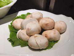 鲜蘑菇-新花城蟹粉馆(乌鲁木齐店)