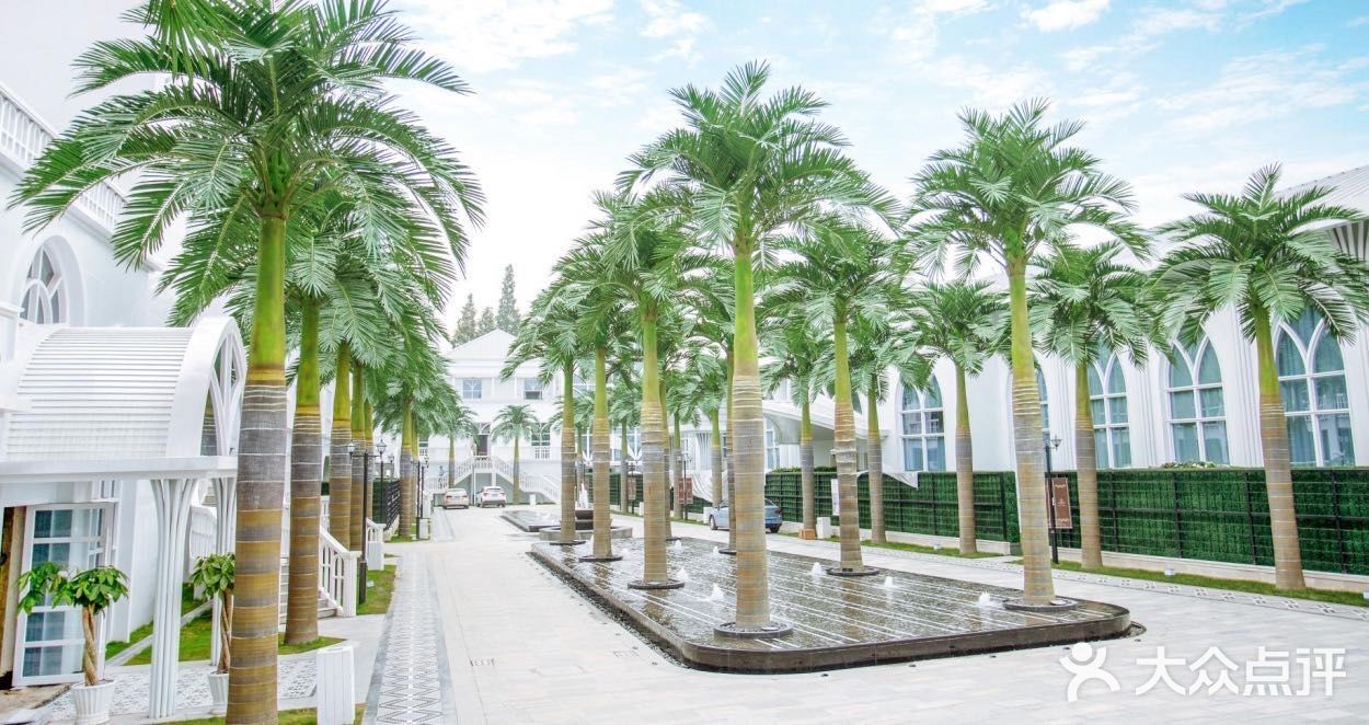 梦寐以求的婚礼