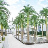 梦寐以求的婚礼