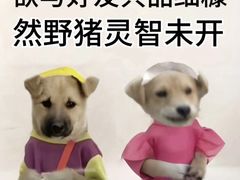 -琶醍壹号•潮菜江景餐吧