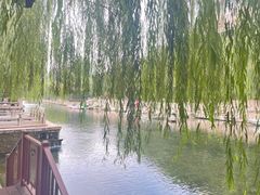 -教师之家赵家羊汤馆(东青龙街店)