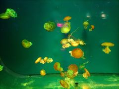 -南昌融创海世界