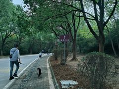 -南京市江宁方山