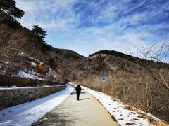 -北京西山国家森林公园