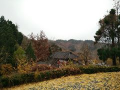 -遵化市禅林寺古银杏风景园