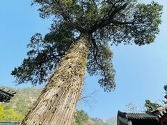 -北京上方山国家森林公园